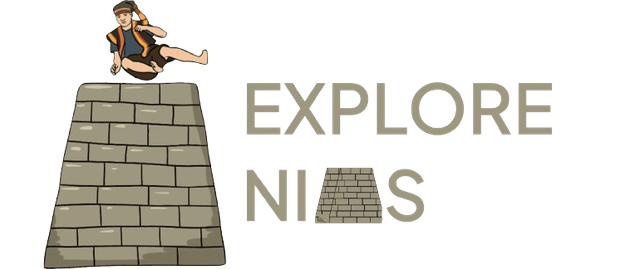 explore nias icon